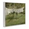 Stupell Industries Soothing Yard Clothesline Scene Black Framed Giclee Art